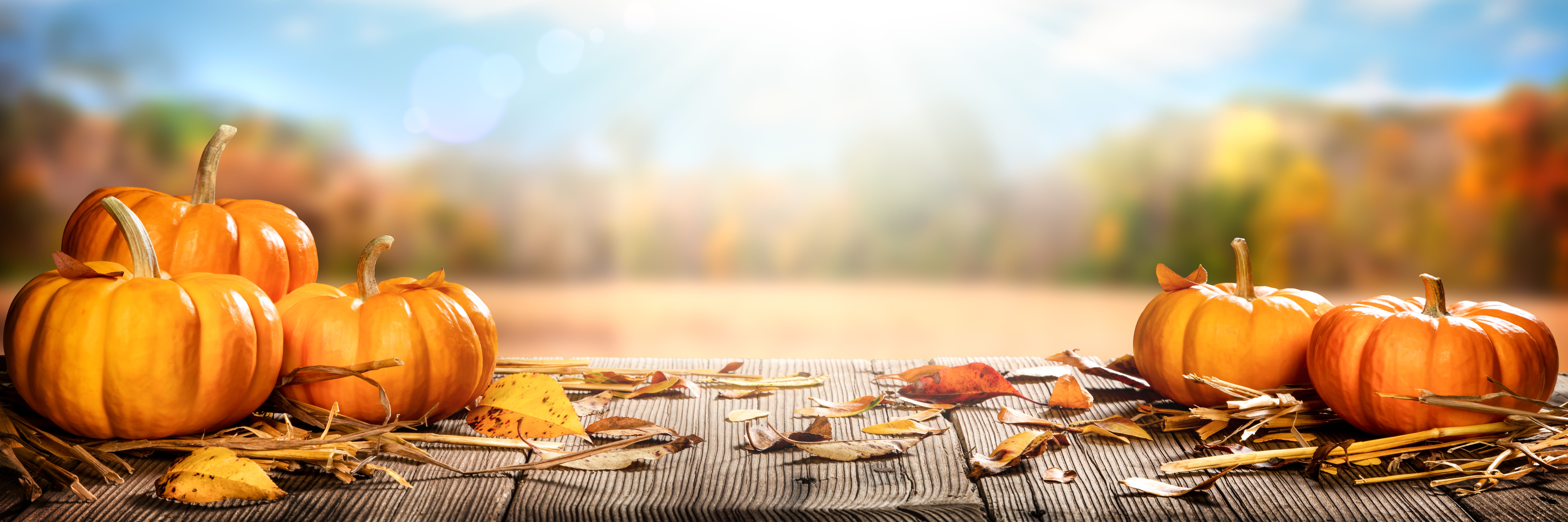 The Ultimate Cleaning List Before Decorating For Fall My Fair Maid 